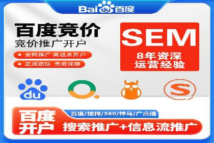 案例分享：SEM推广助力电商快速崛起